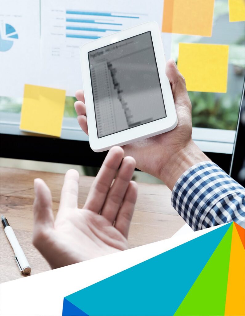 Asistencia en la Estrategia, Formulación e Implementación de Proyectos de Gobierno Digital